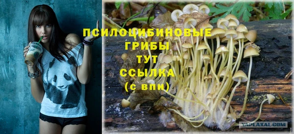 MDMA Богородицк