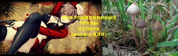 MDMA Богородицк